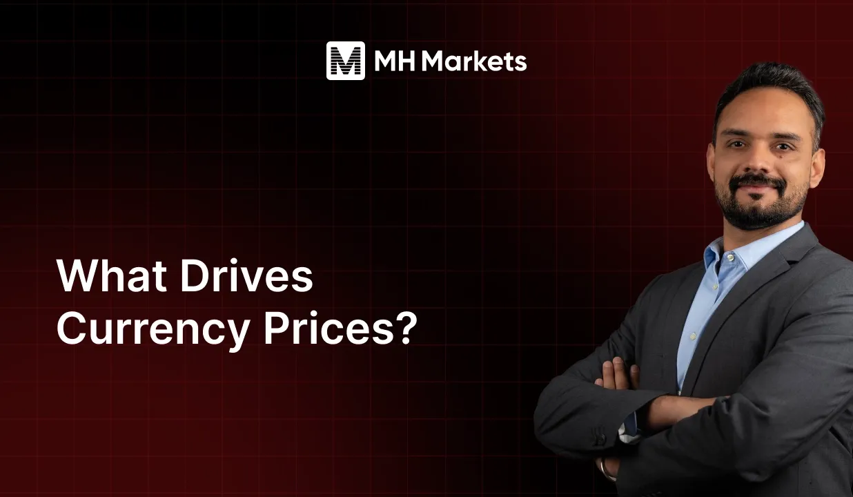 What Drives Currency Prices?